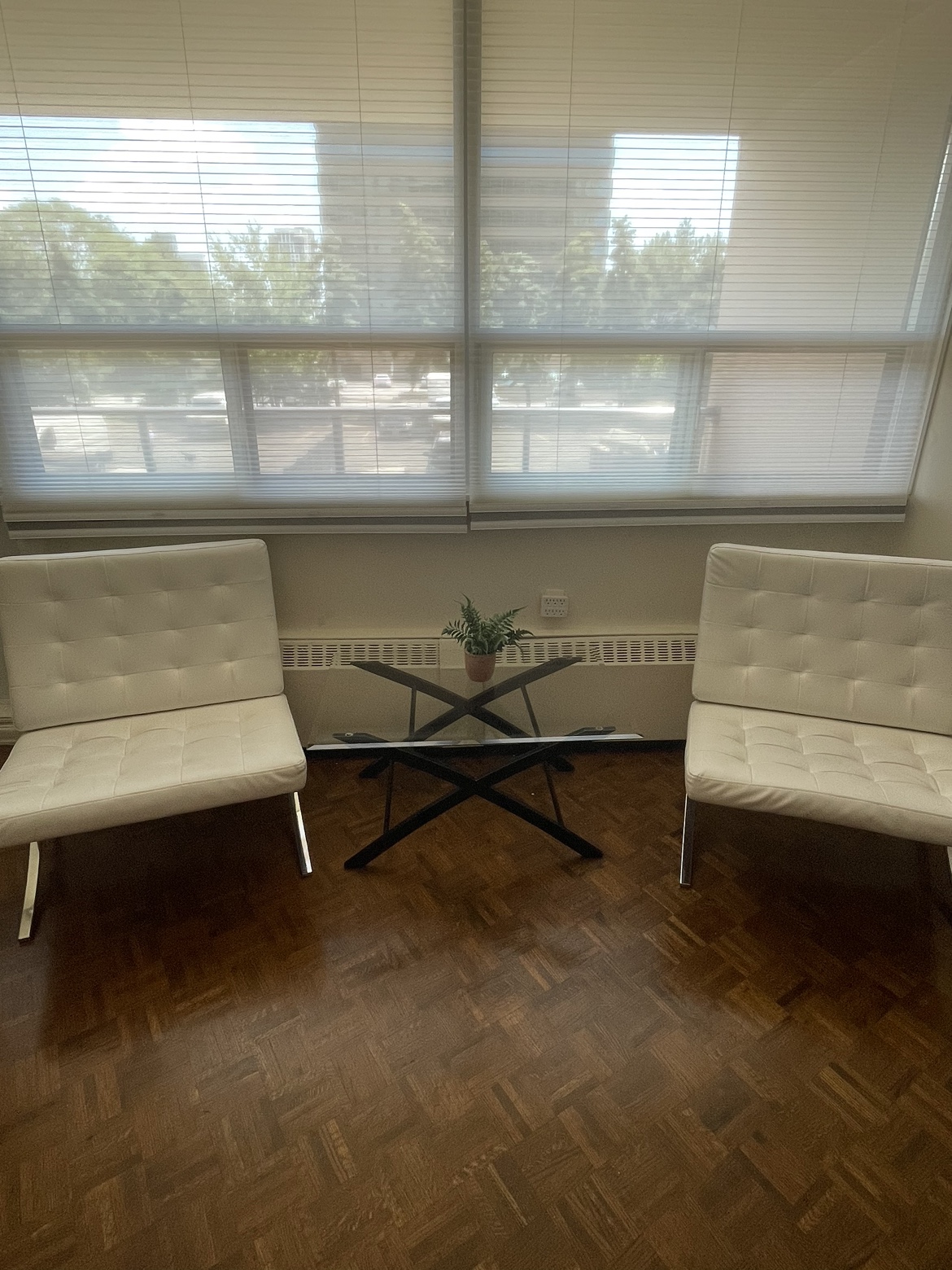 SET with 2 soft chairs and glass coffee table