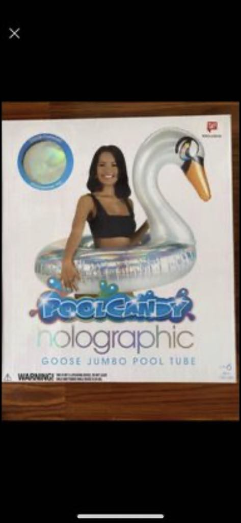 Holographic goose jumbo pool tube - photo 2