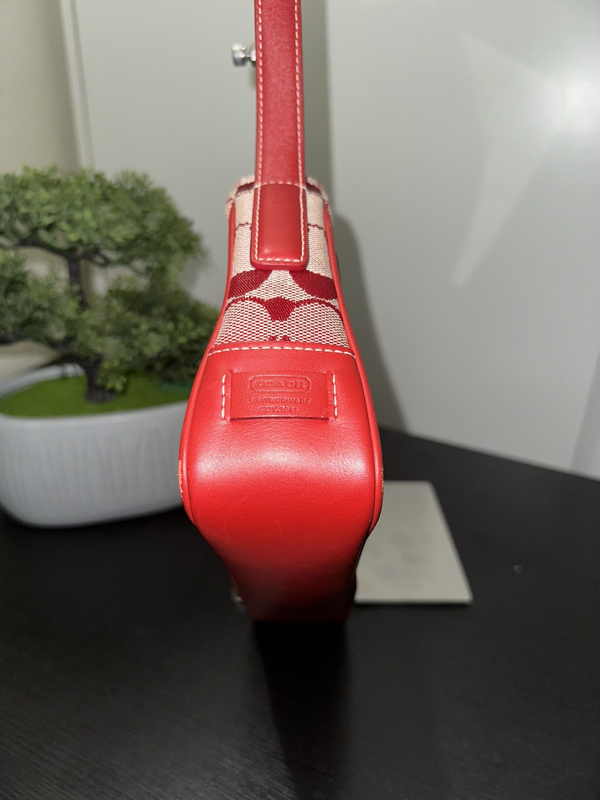 Authentic COACH signature canvas handbag image indicator(2)