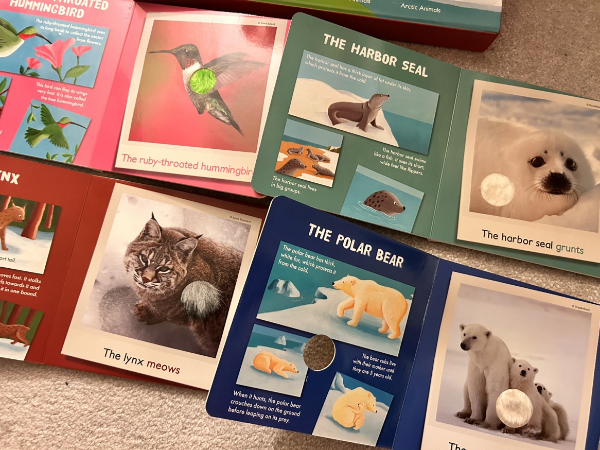 My little box of Canadian animal books (touching learning) image indicator(2)