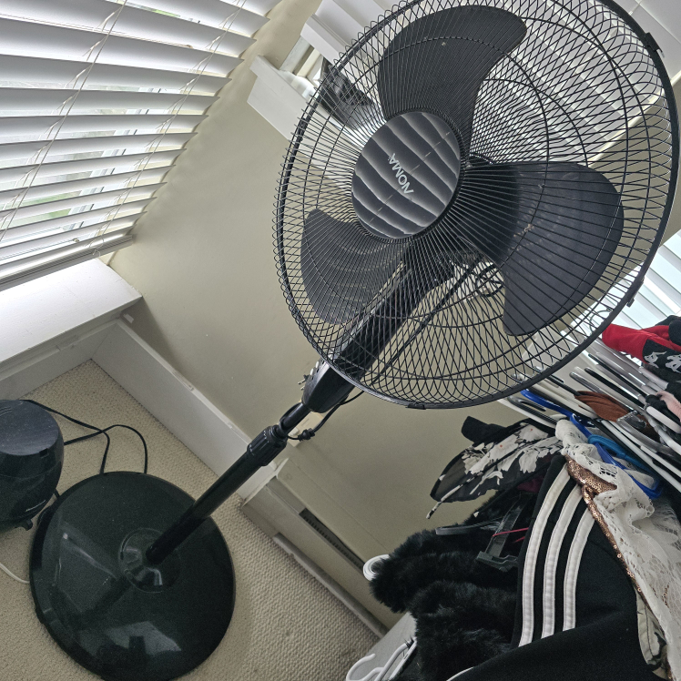 fan
