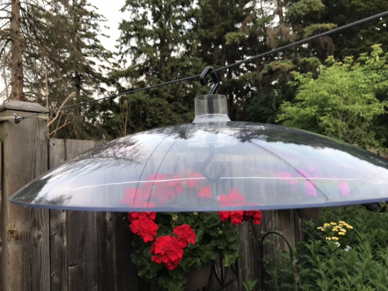 Large bird feeder weather guard - photo 2