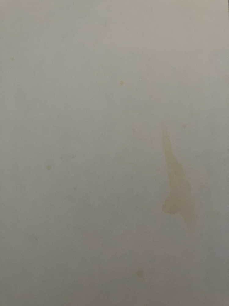 Bears on Wheels A Bright And Early Counting Book Berenstain Bear image indicator(5)