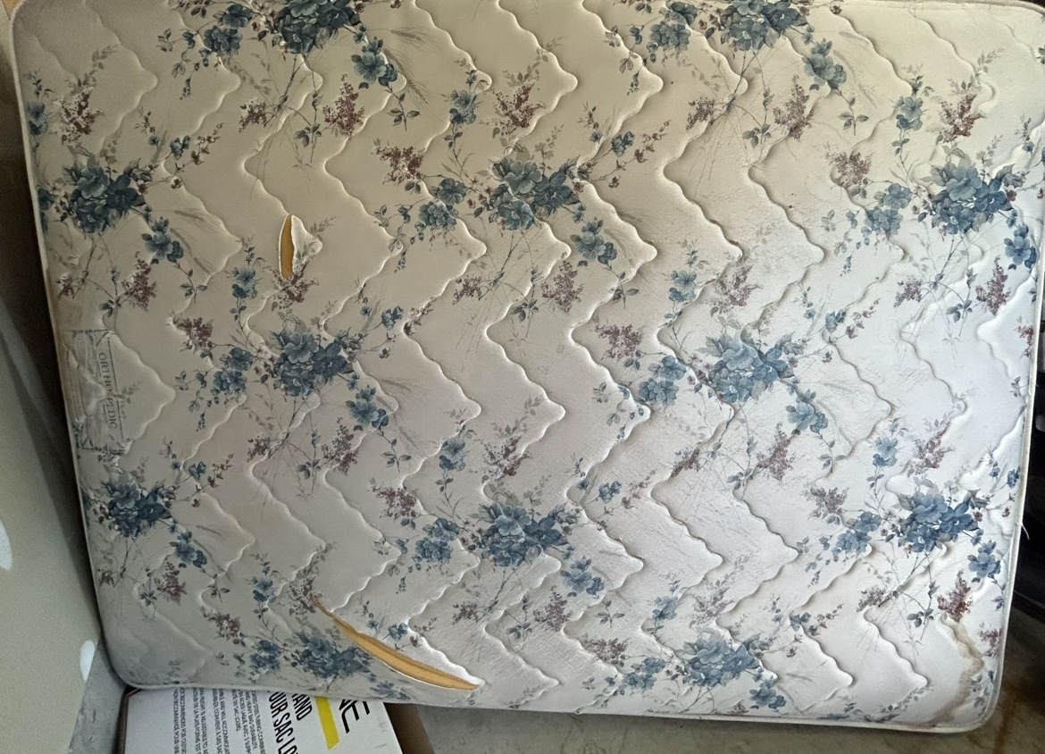 Queen Mattress  #freecycle thumbnail
