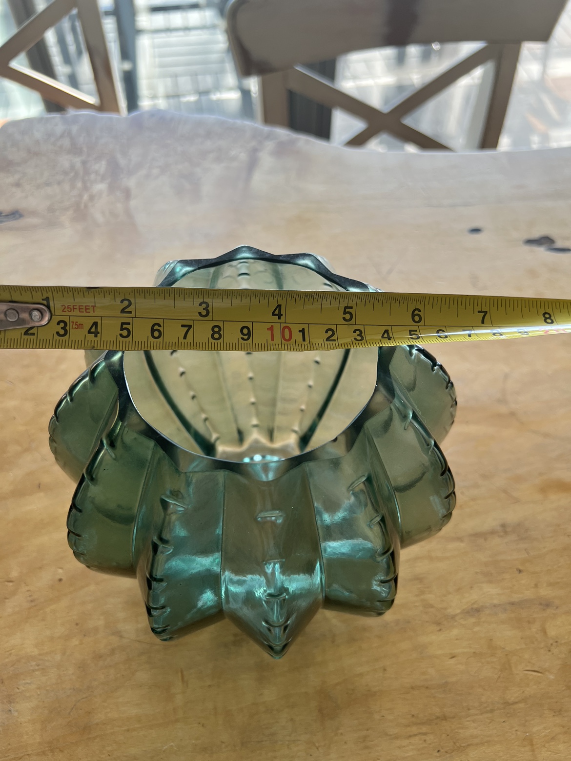 Cute Cactus glass flower pot image indicator(3)