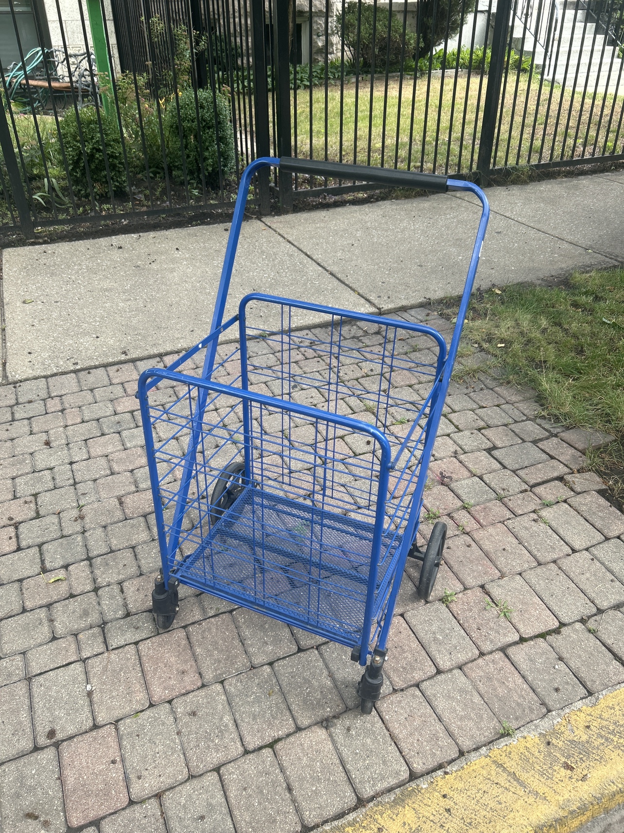 Blue Multiuse Cart