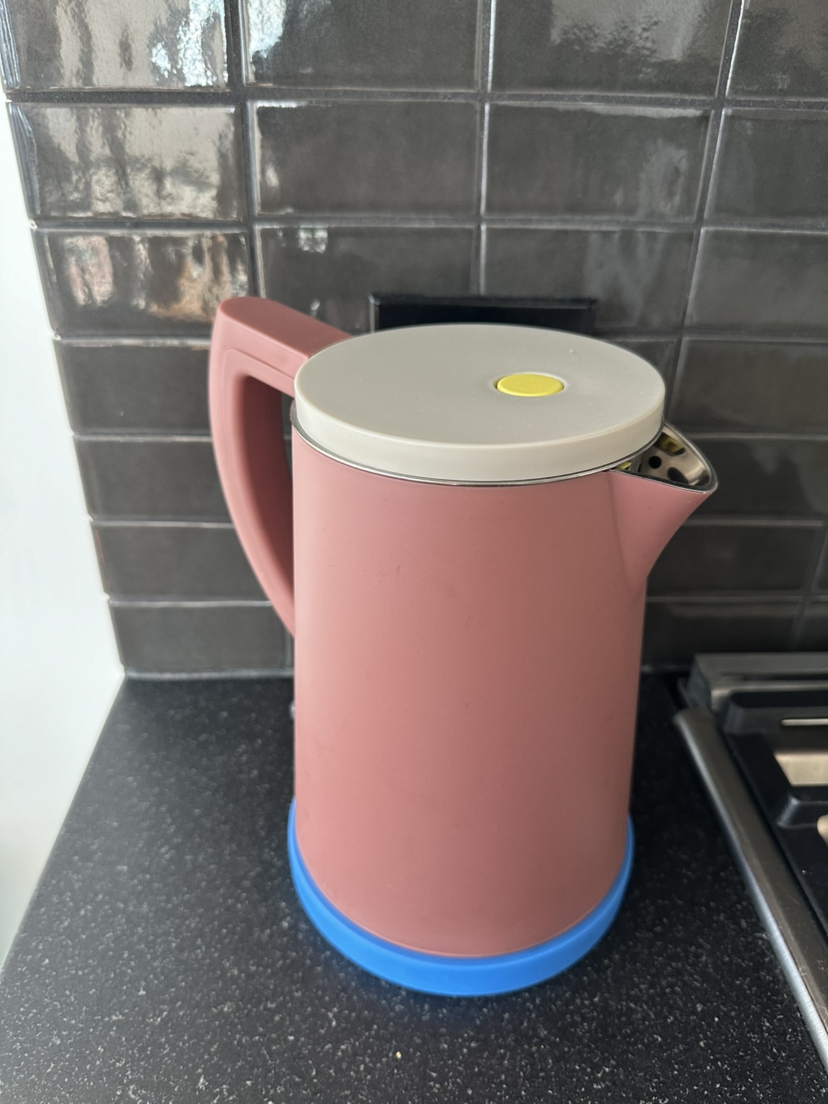 Water Boiler (Design Within Reach)