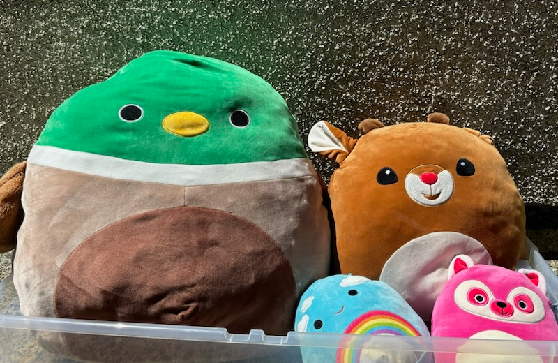 squishmeloows ,all taken care of ,clean and like new still thumbnail