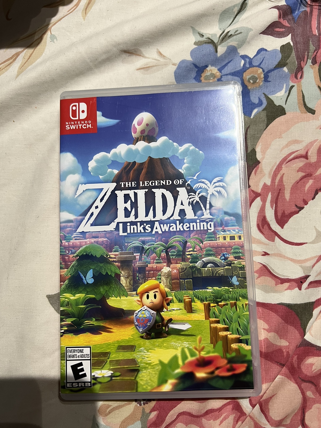 TLOZ: Link’s Awakening - photo 2