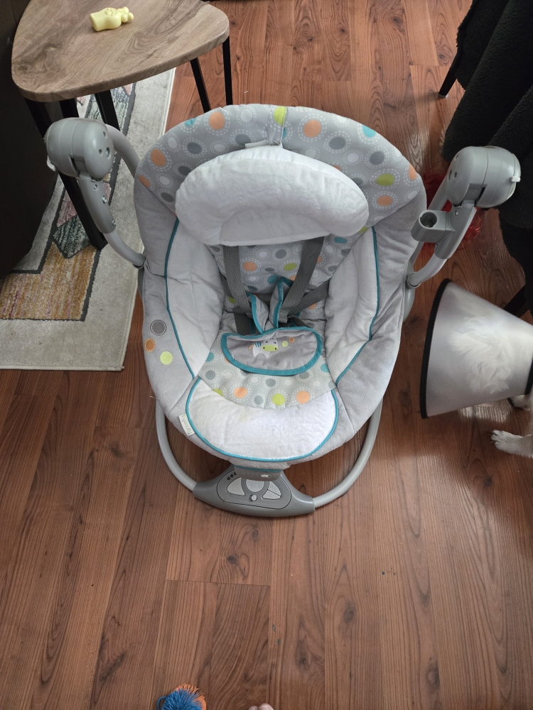 Baby Swing