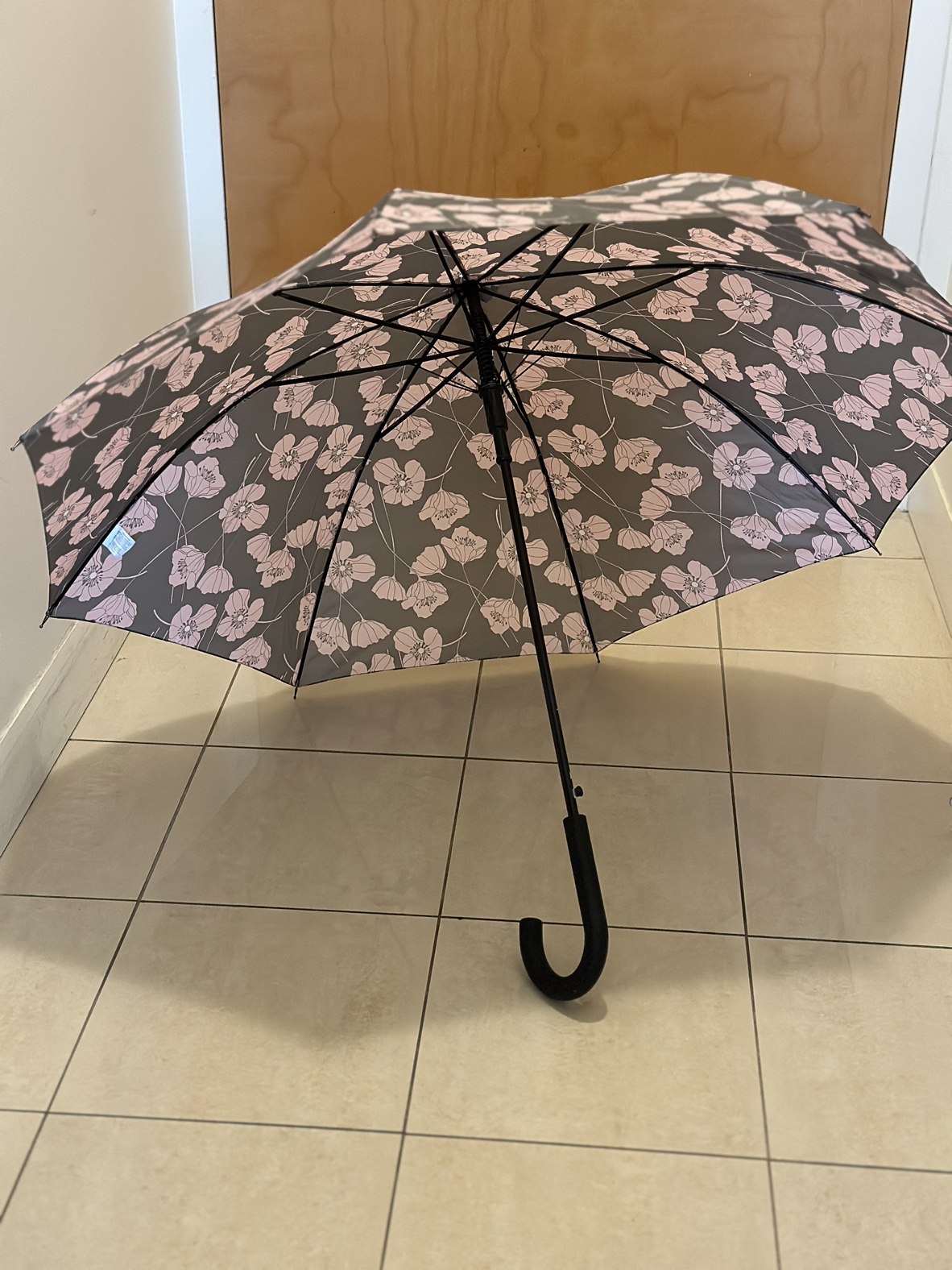 Umbrella