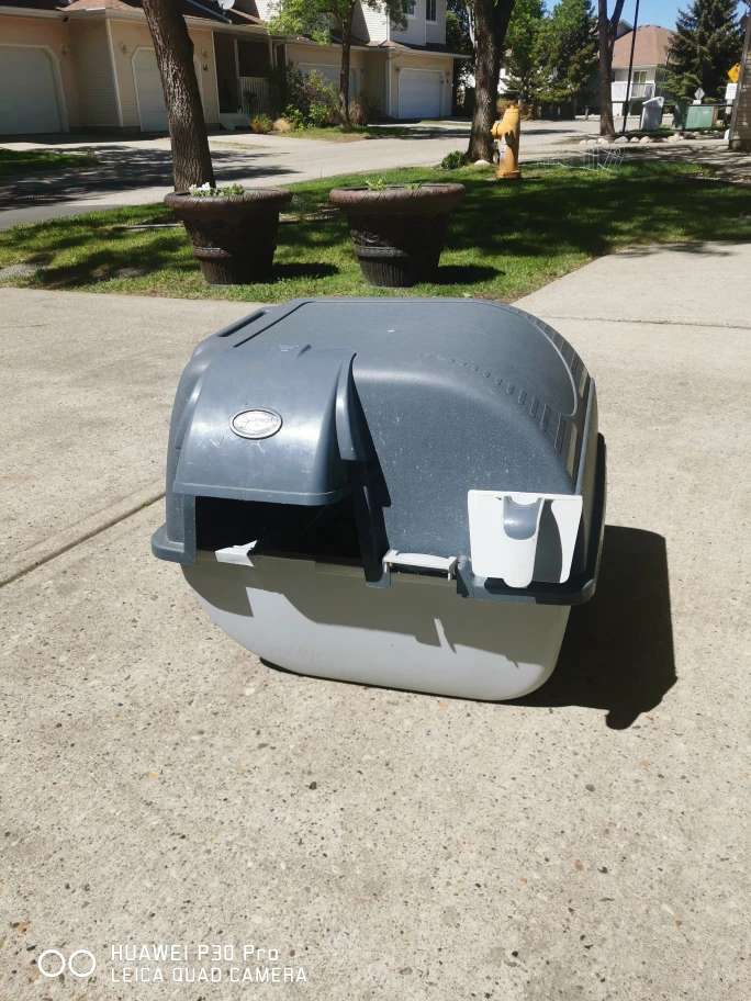 cat litter box