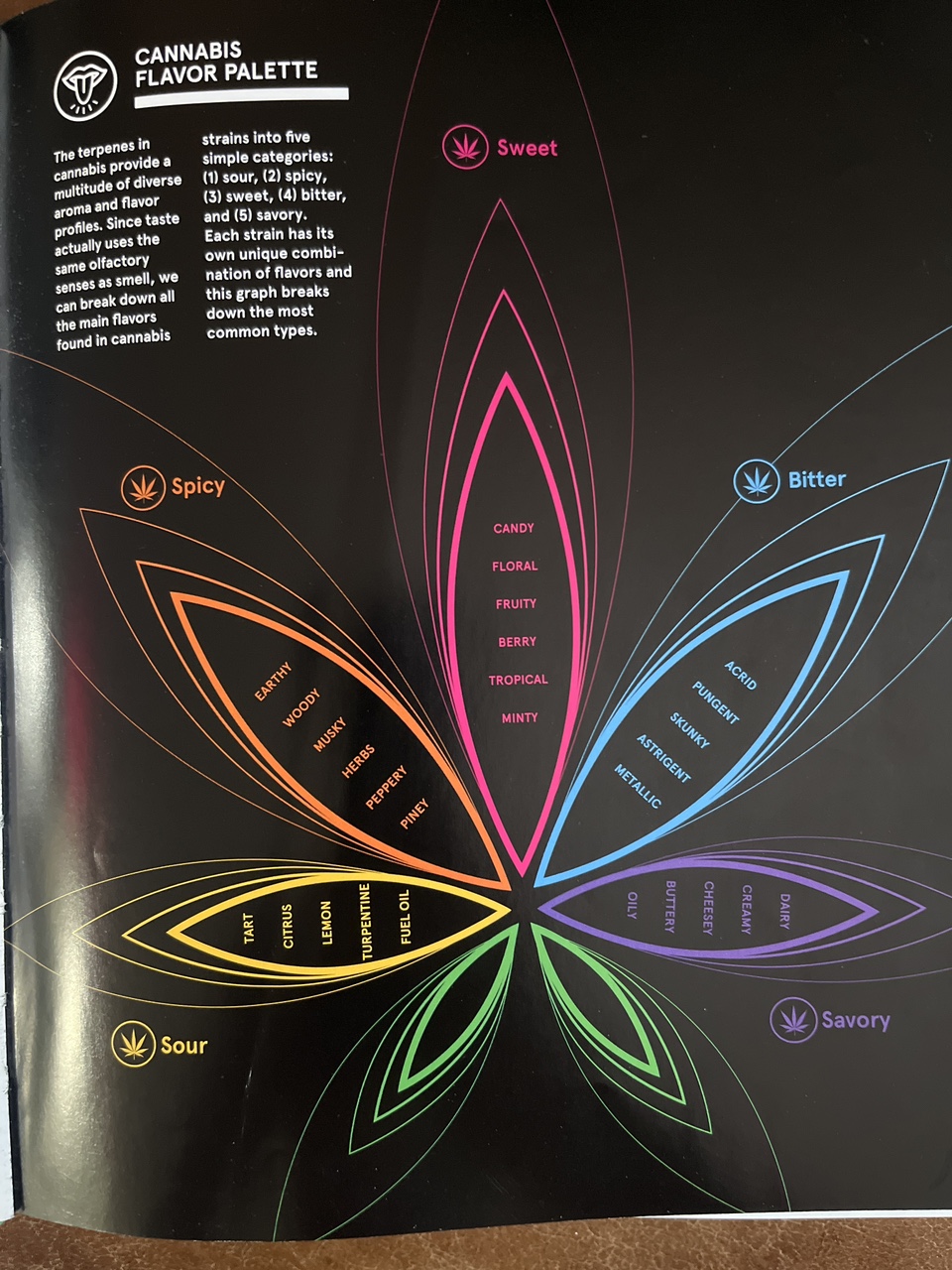 GREEN a field guide to Mari Juana image indicator(4)