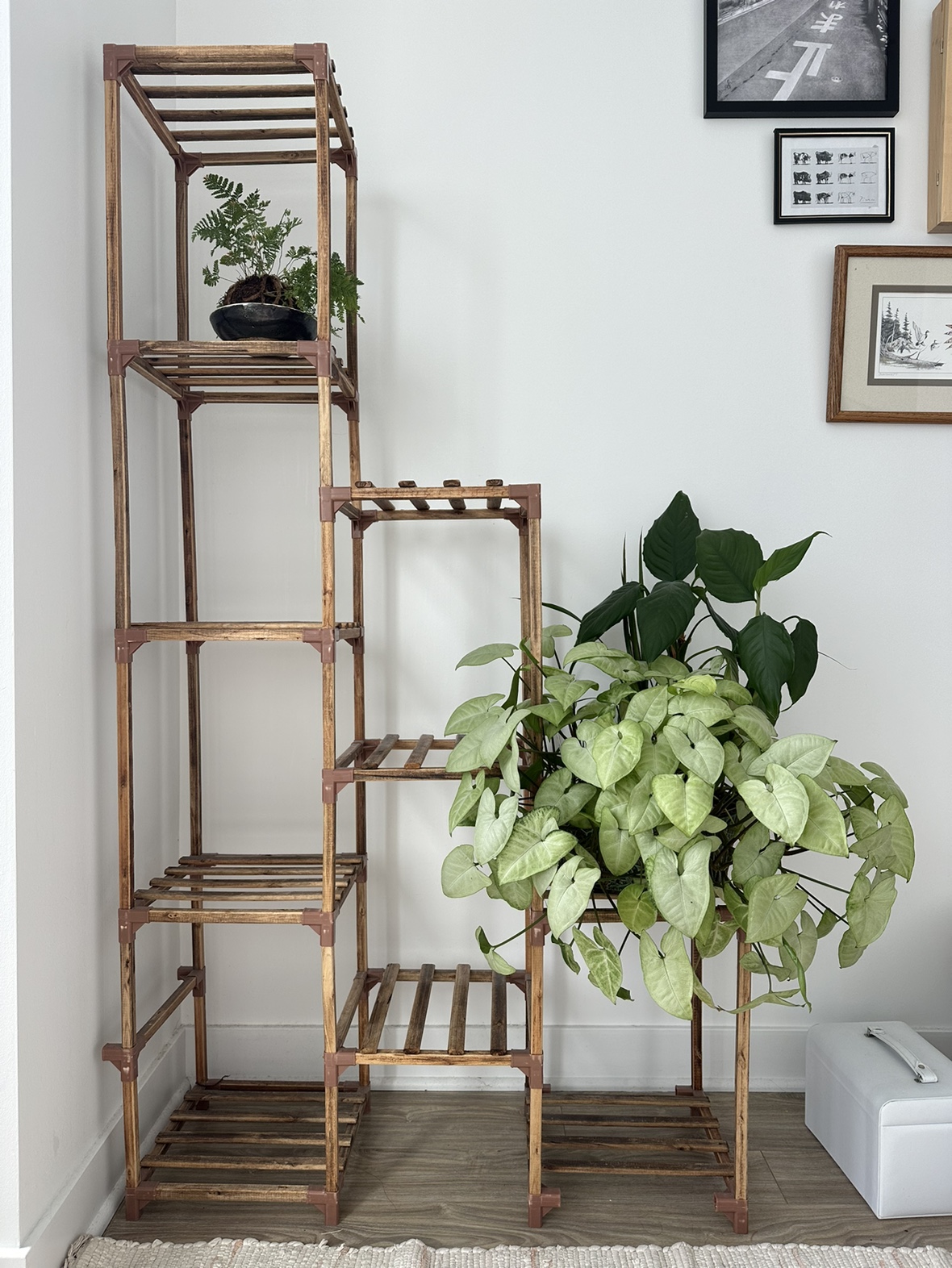 Modular Bamboo Bookshelf Plant Stand