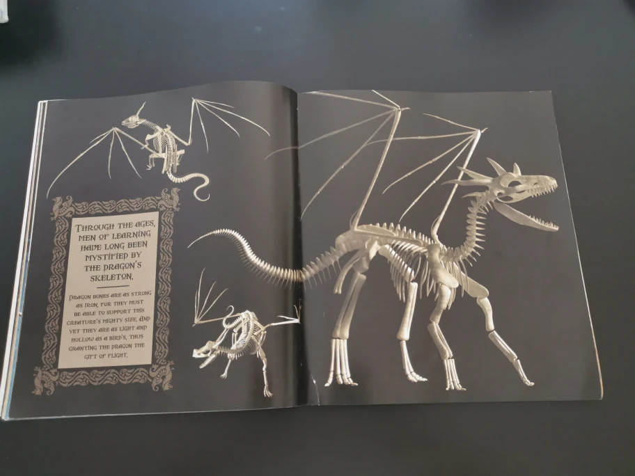 Dragon World Book 🐲 image indicator(3)