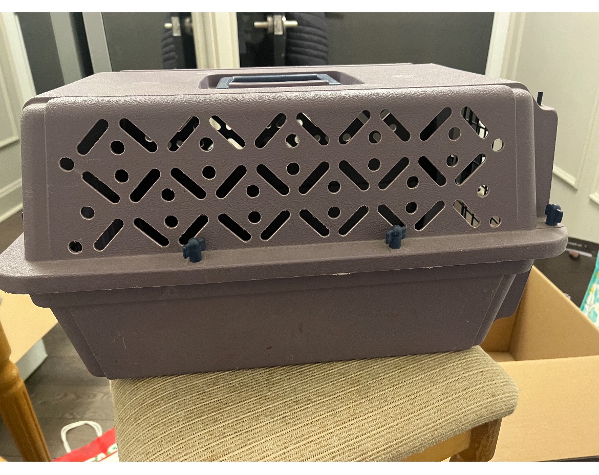 Small animal hard case carrier thumbnail
