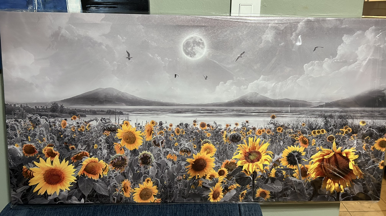 Sunflower Field Greyscape Canvas Wall Art (20”H x 40”W) thumbnail