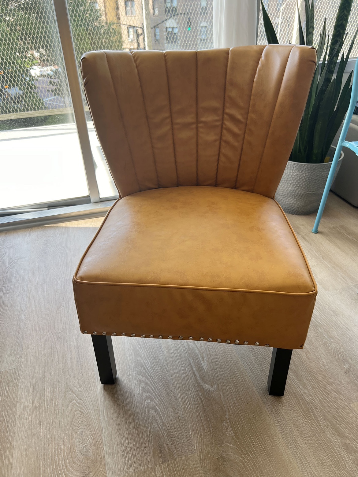 Accent Chair (Home Goods) - discounting