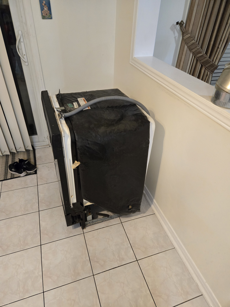 Kenmore dishwasher - photo 3