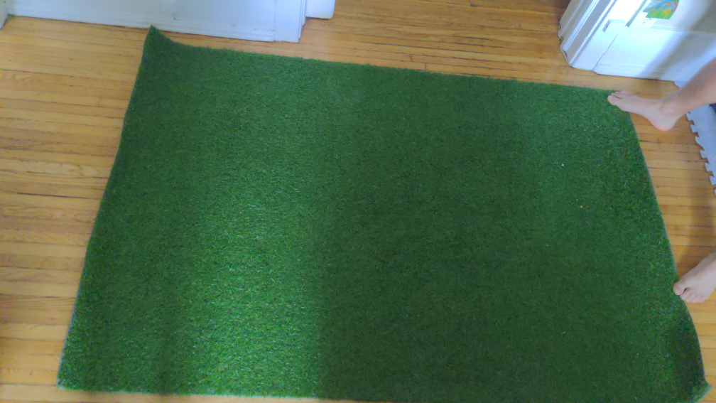Faux/fake grass rug - must go!