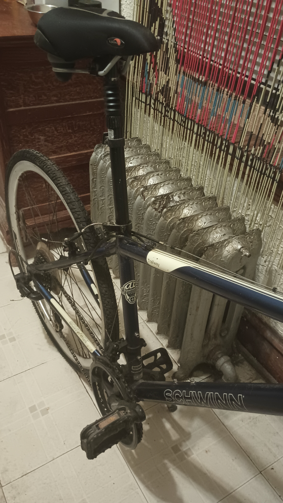 Schwinn Trailway - photo 2