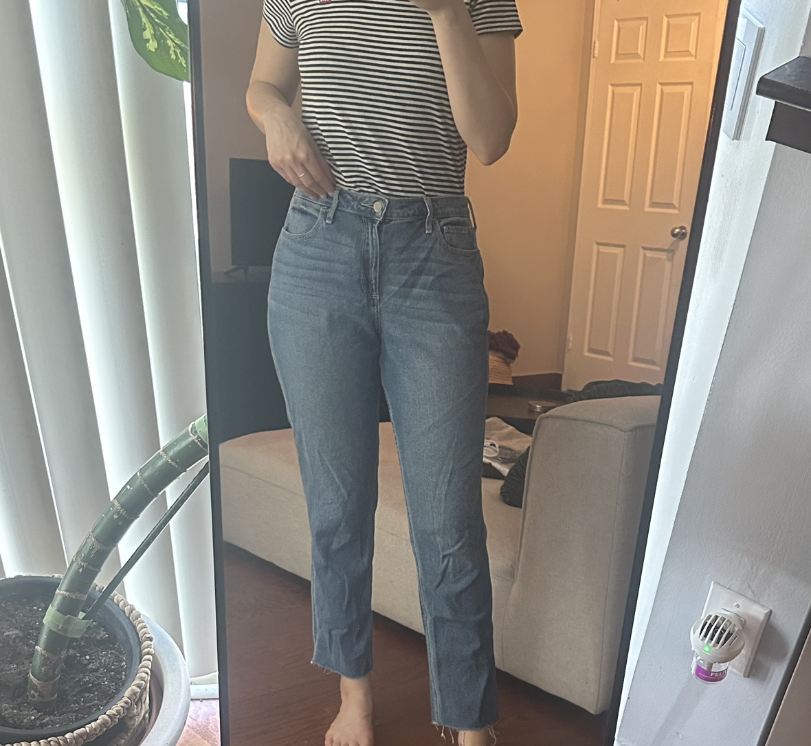 Hollister Curvy Jean thumbnail