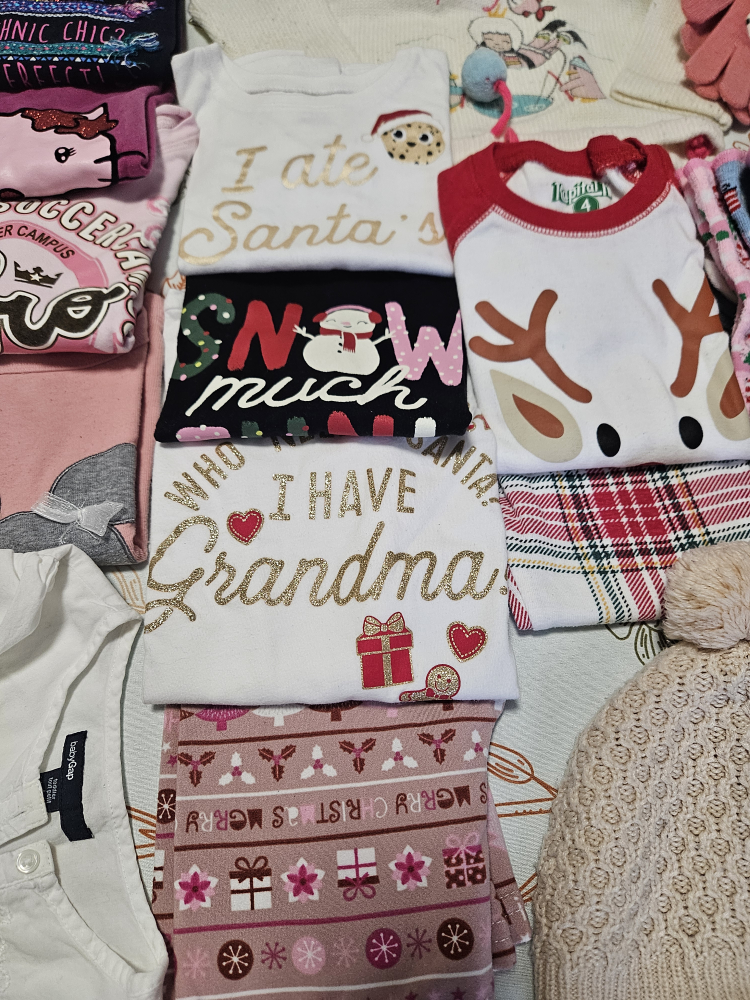 4T Girl clothes image indicator(4)