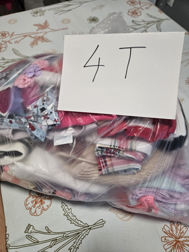 4T Girl clothes image indicator(10)