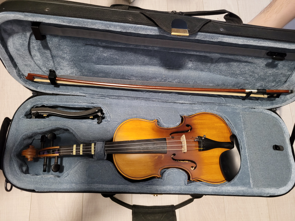 Violin Full Size