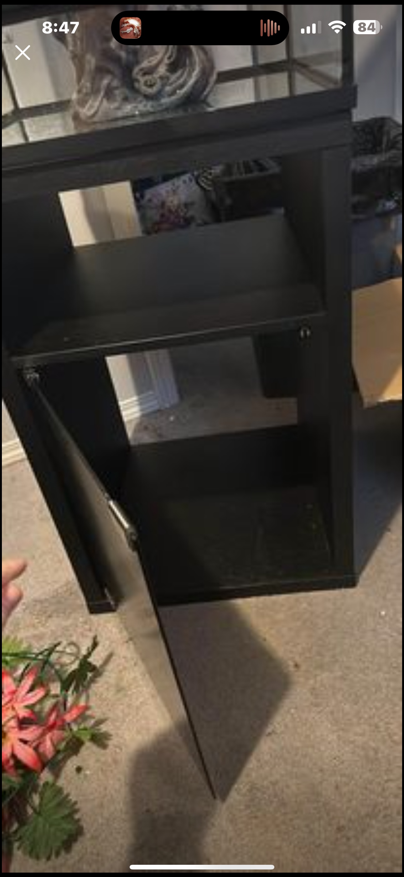 Tall terrarium image indicator(5)