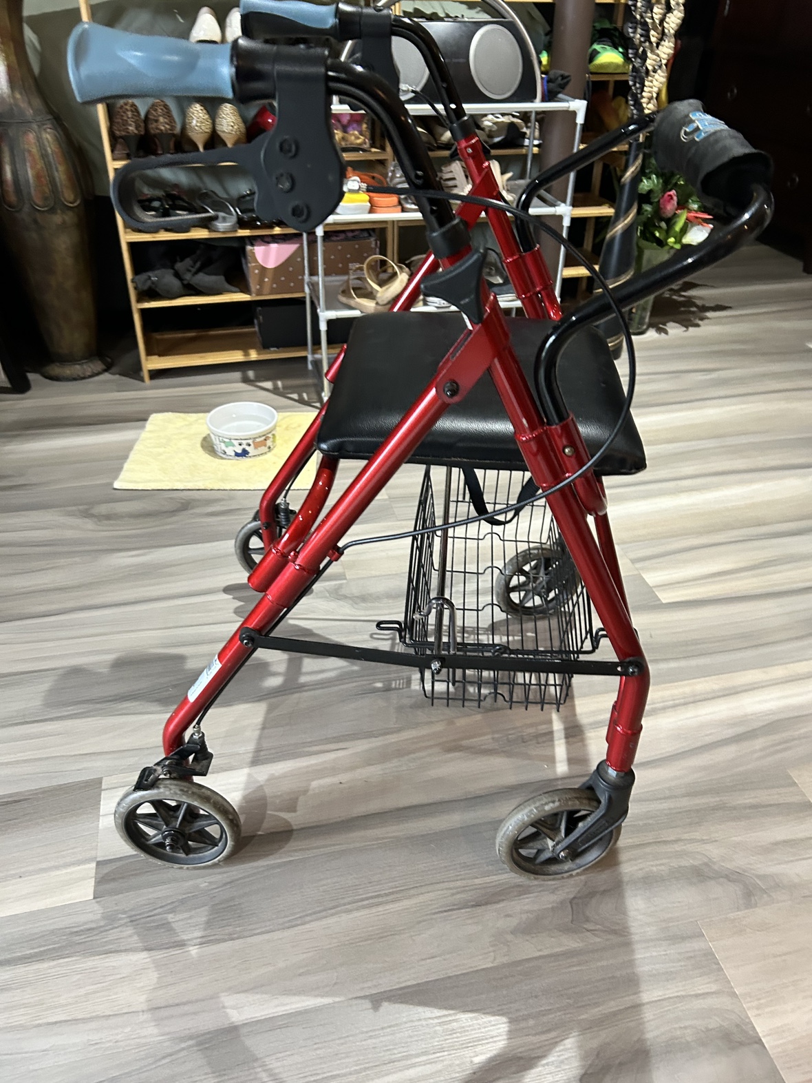 Drive Walker - photo 3
