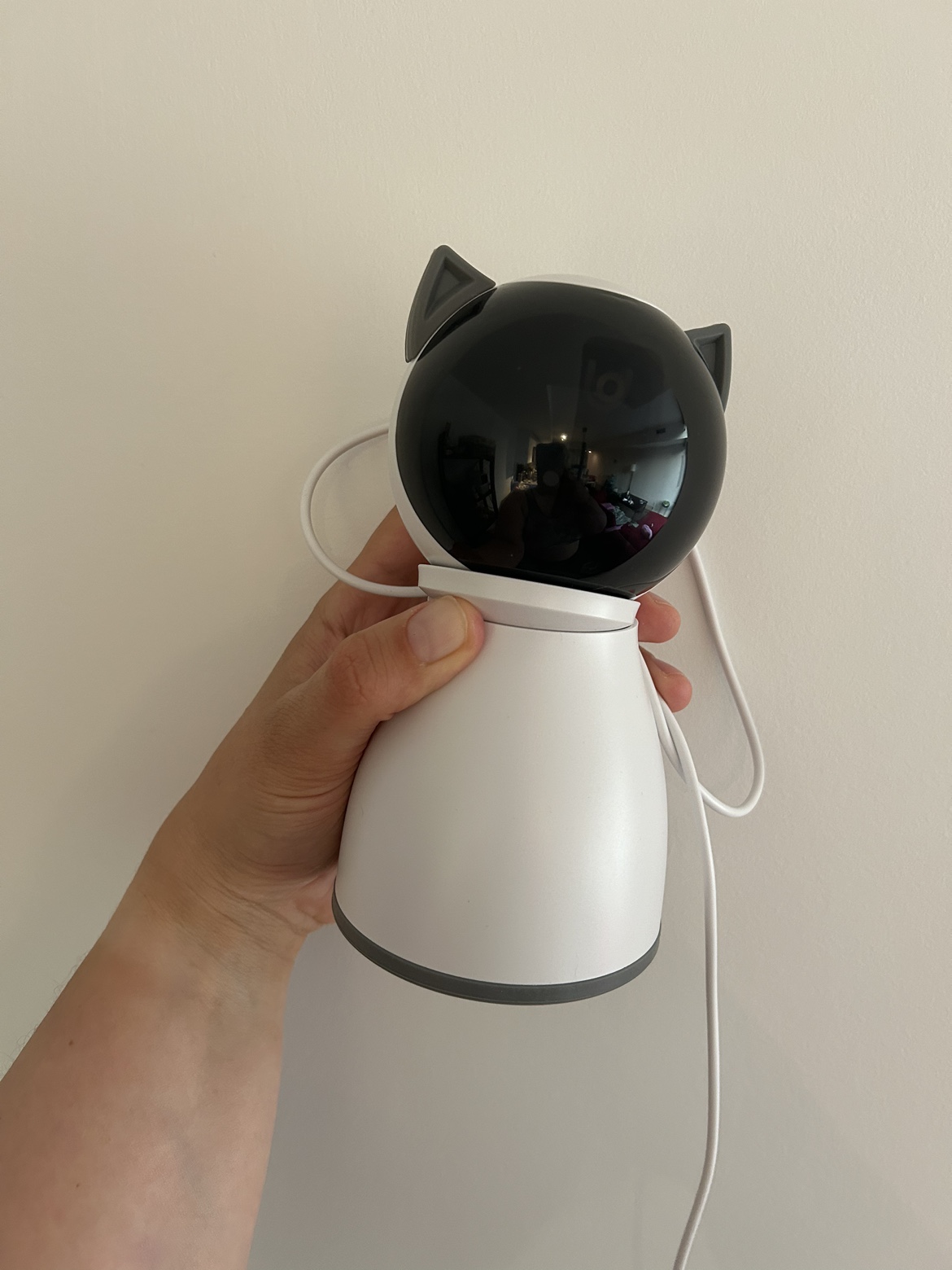 Laser cat toy random trajectory image indicator(5)