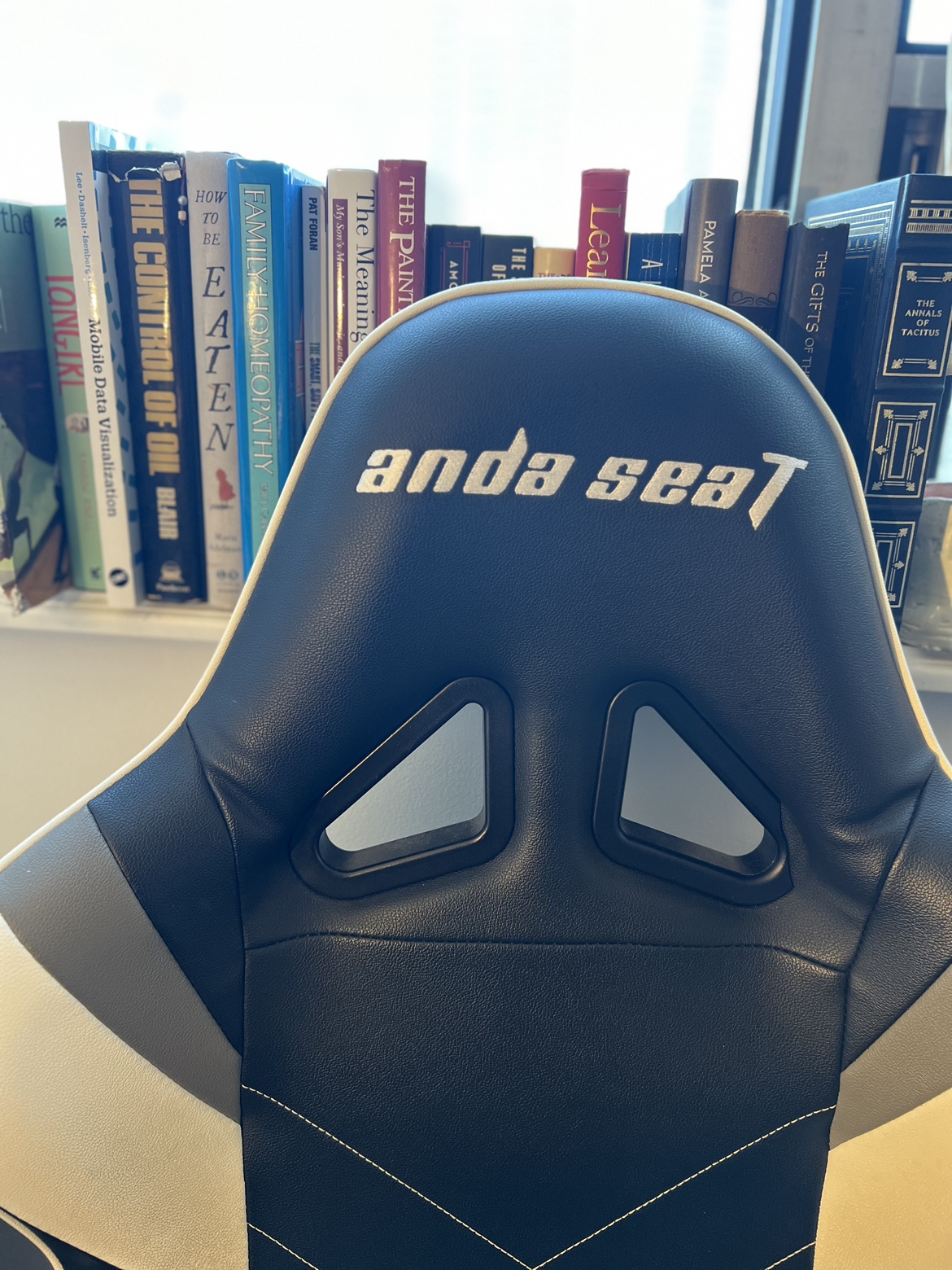 Gaming Chair Anda Seat #ThriftyPicks thumbnail