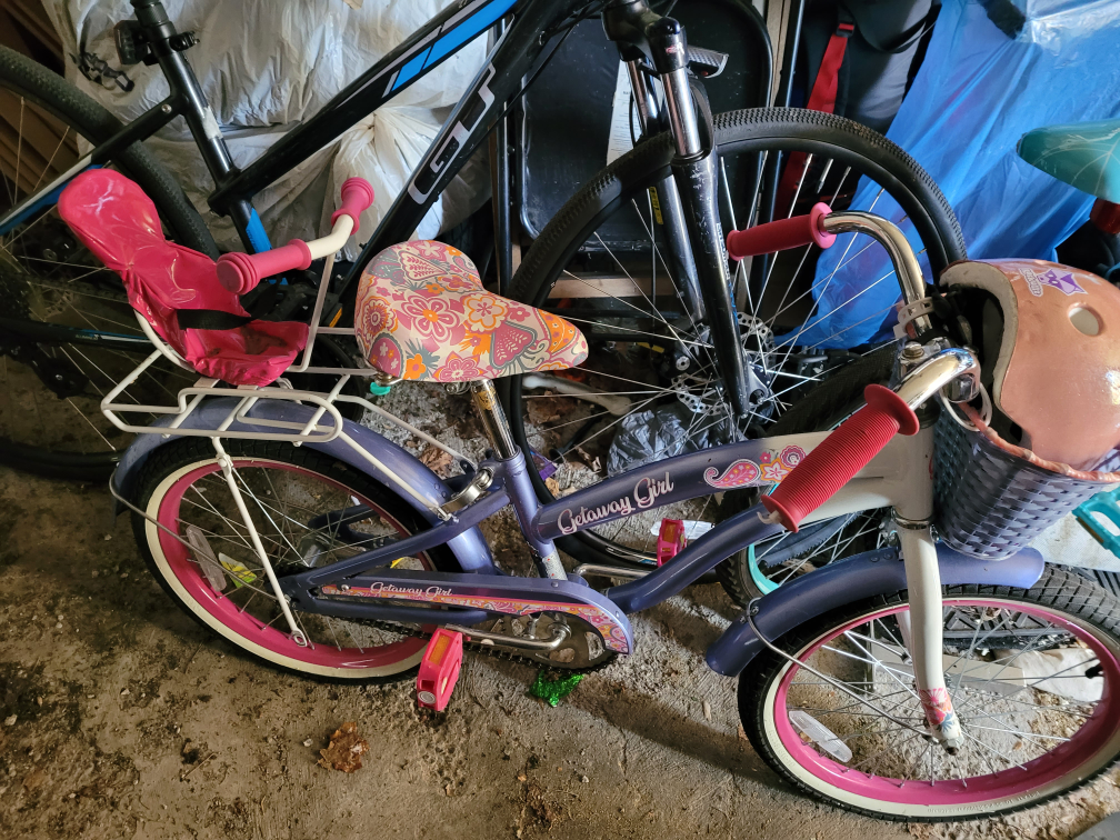 🥕🥕Girls bike with basket and baby ridealong and training wheels image indicator(2)