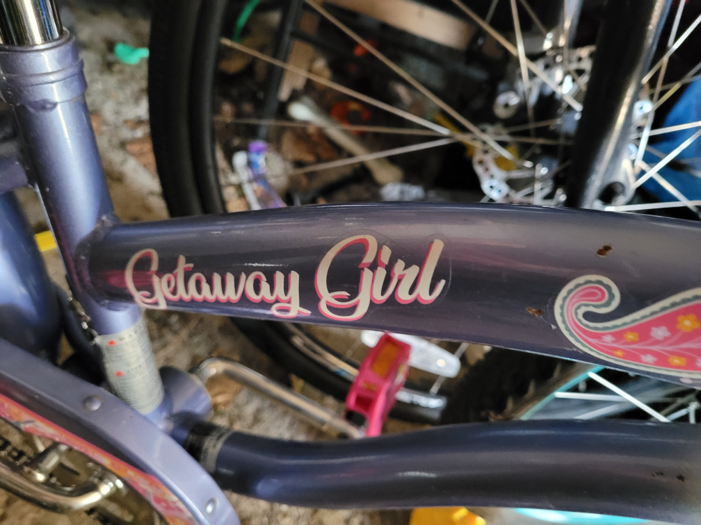 🥕🥕Girls bike with basket and baby ridealong and training wheels image indicator(3)