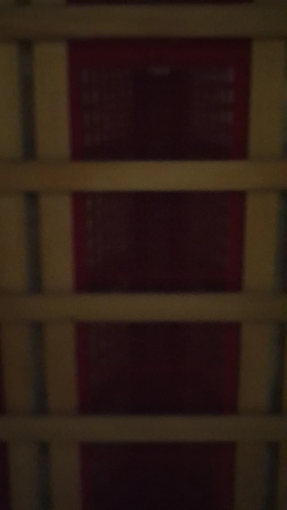 heilsa infrared sauna - photo 4