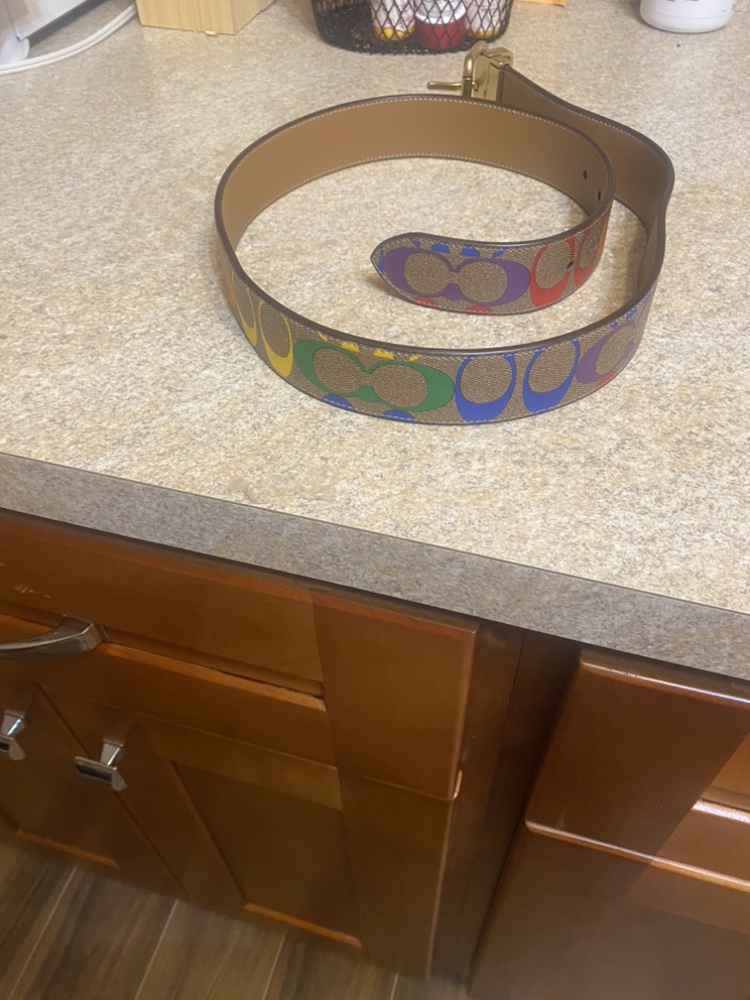Authentic Coach pride belt unisex - photo 2