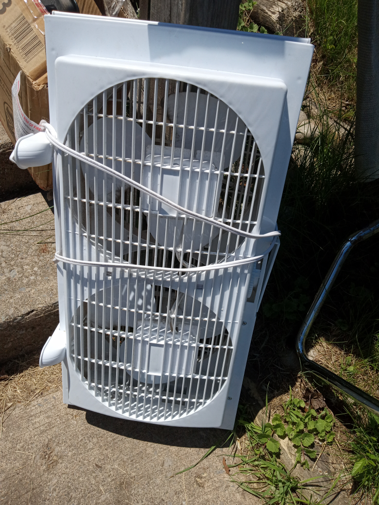fan