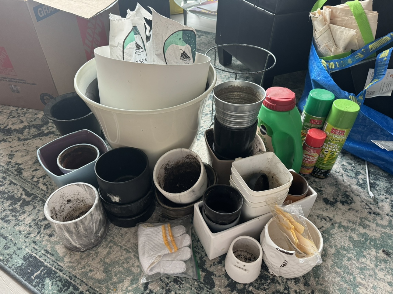 Assorted plant pots
