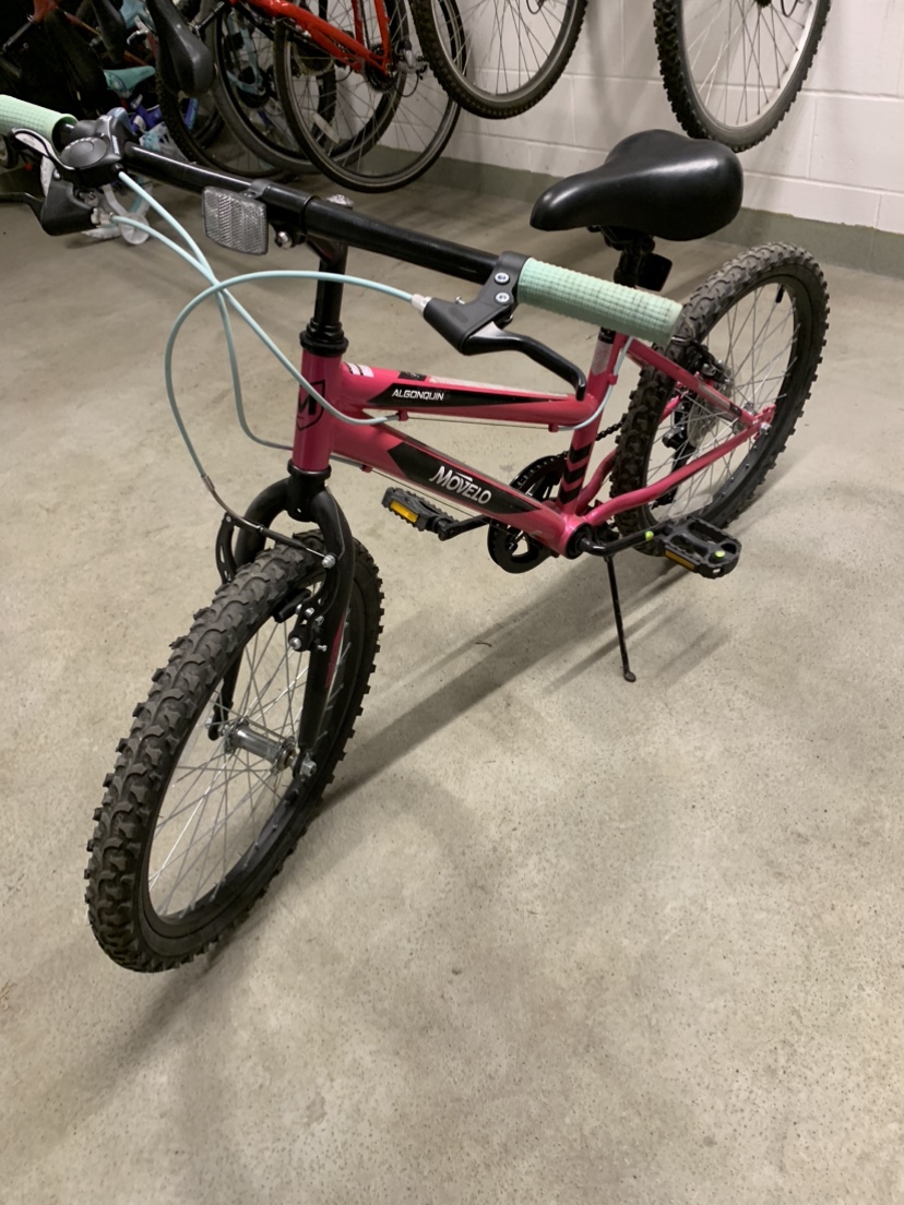Girls bike - 20” wheels - Ages 5 to 9