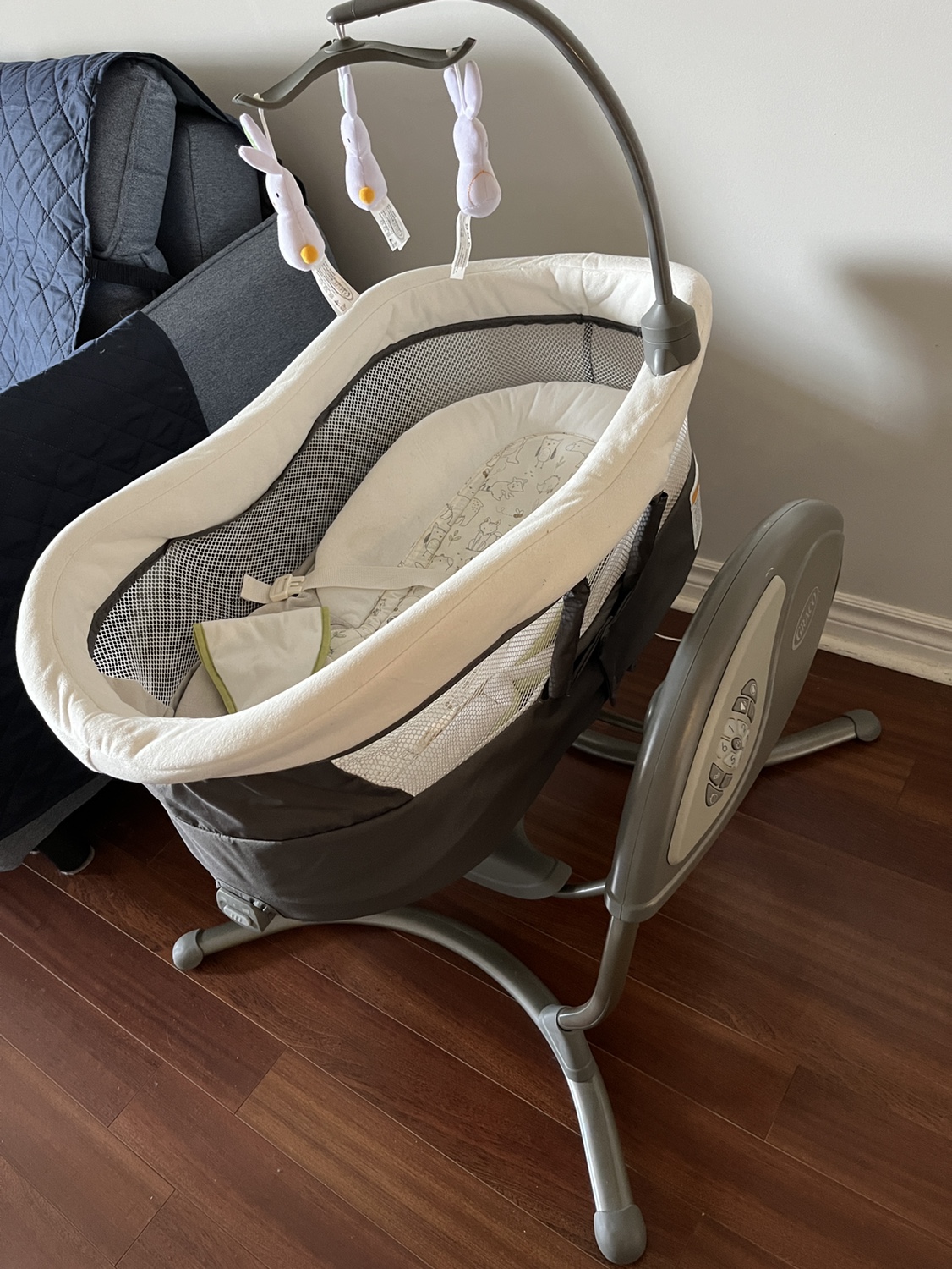 Graco Duoglider Gliding Swing, Rascal - photo 3