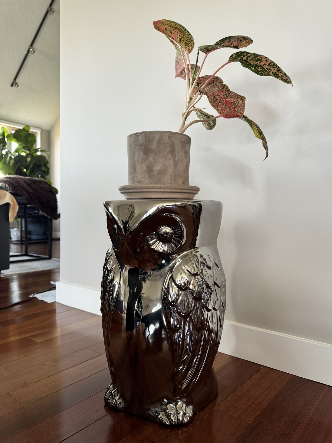 Urban barn plant stand/ side table