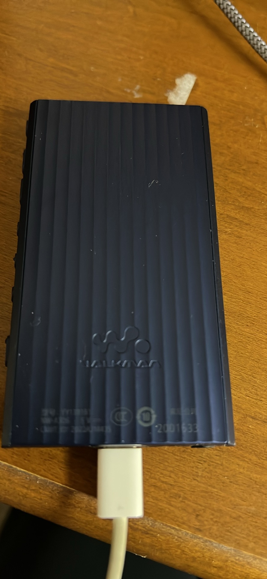 Sony Walkman NM-A306 HiRes music player - photo 2