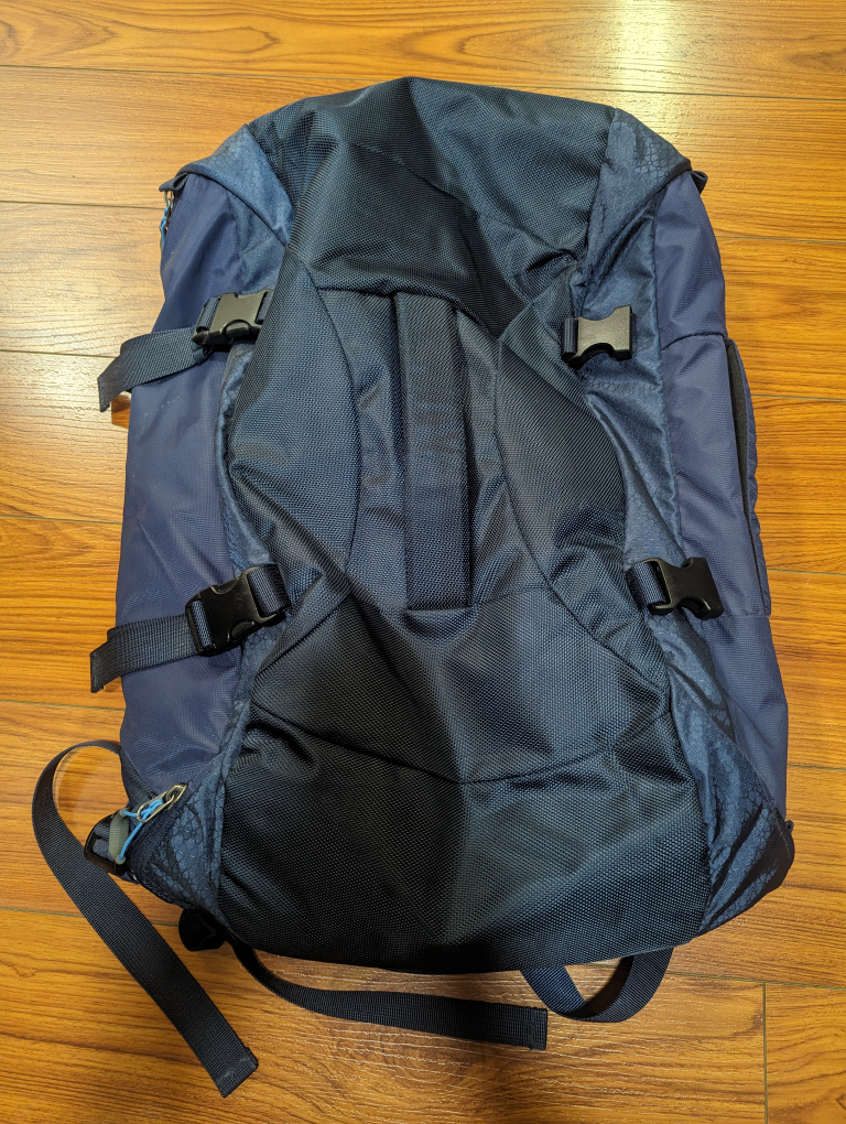 Travel Backpack (Hynes Eagle)
