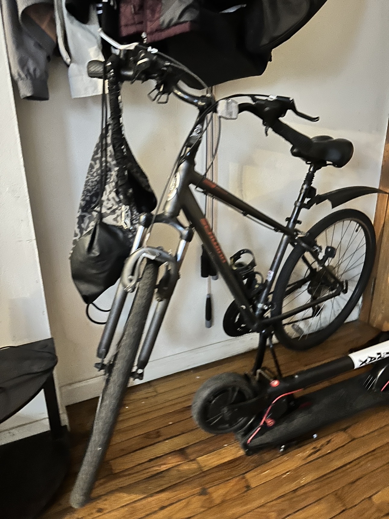 Schwinn Adult Bike Medium Size 5’5-5’10