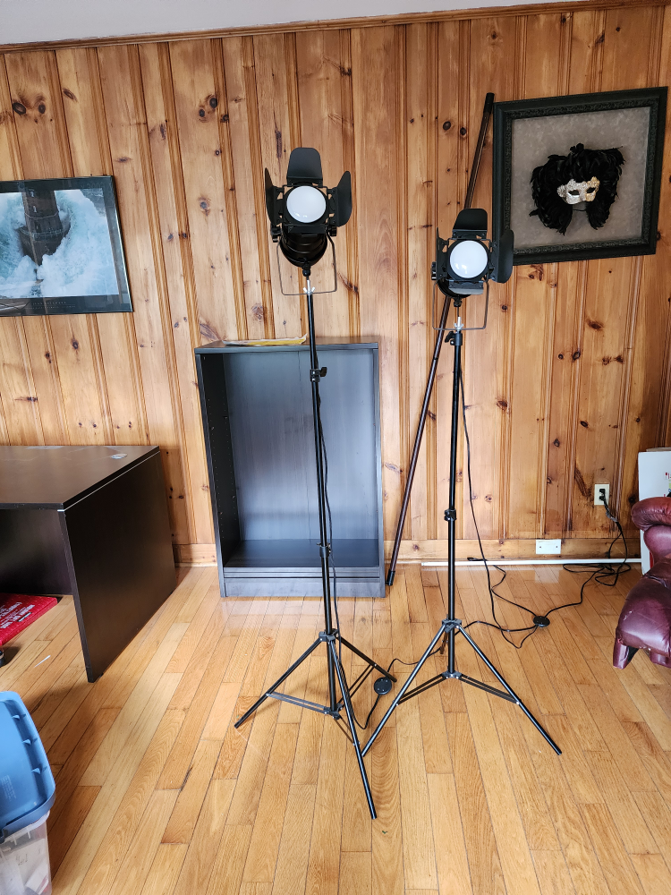 Studio Lights - photo 2