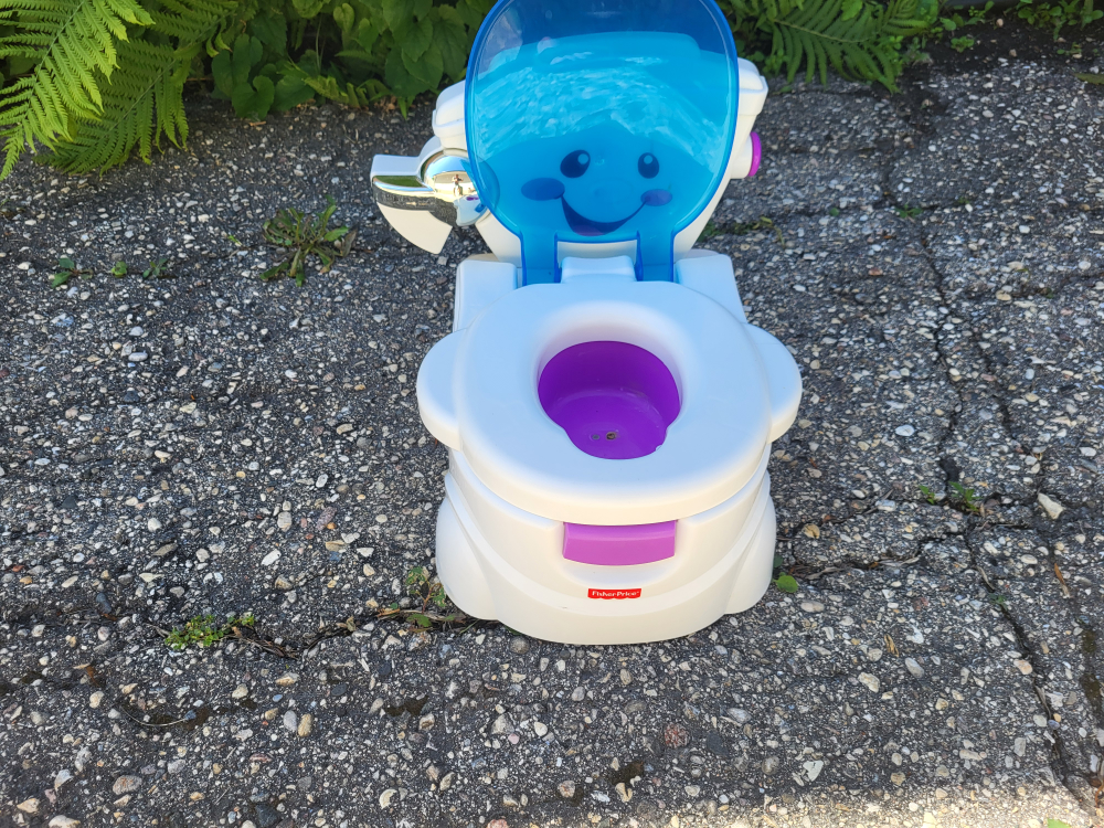 Potty Training Toilet by Fisher Price. Meet up Unicity mall. - photo 2