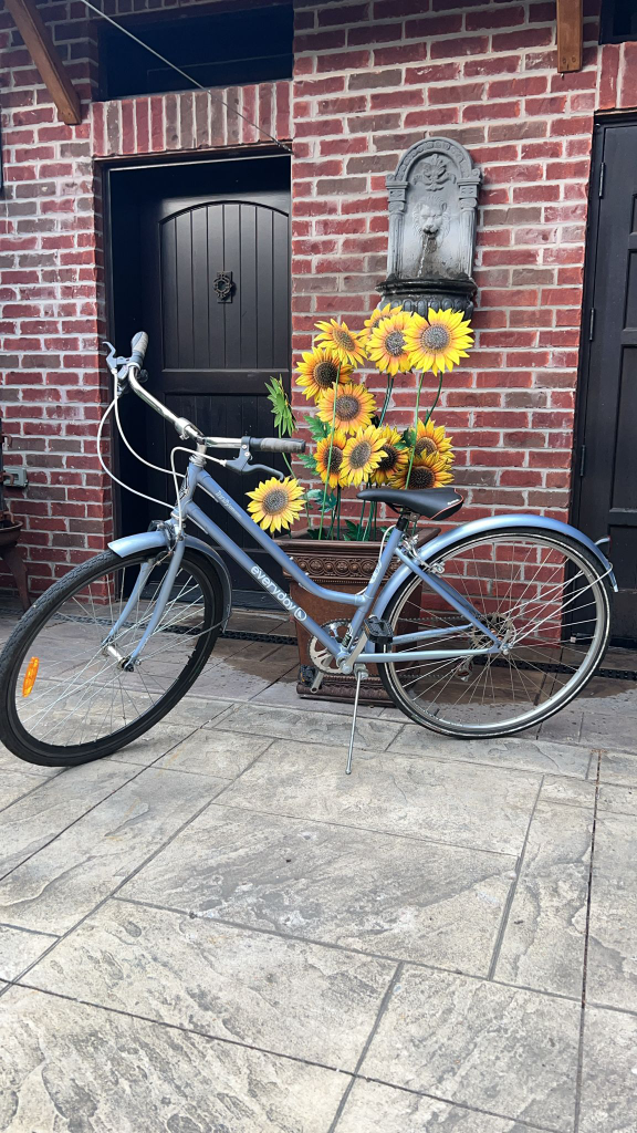 Everyday Trinity bike thumbnail