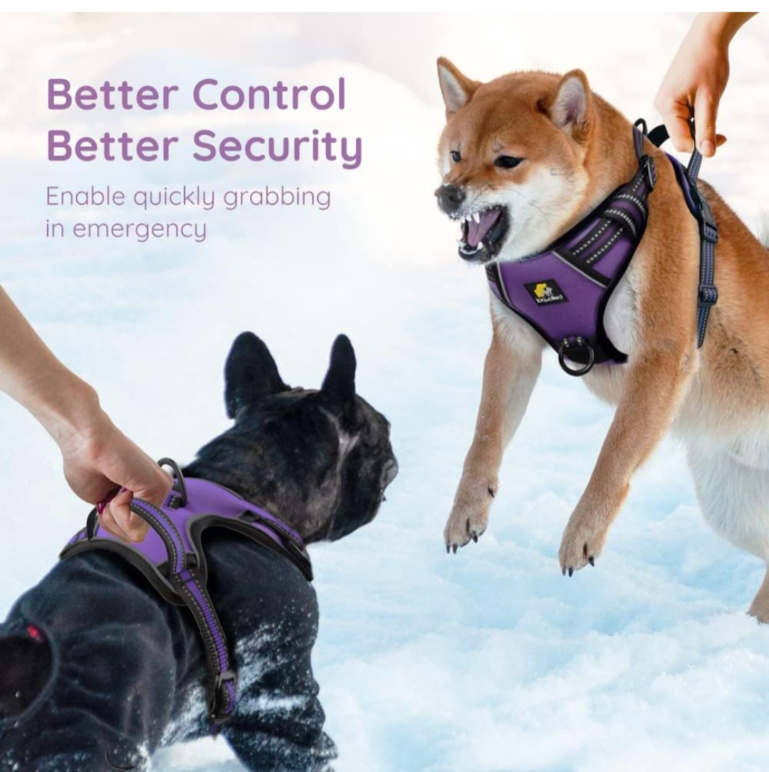 purple -BELLA & PAL Dog Harness for Medium Dogs No Pull, thumbnail