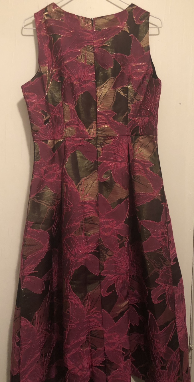 Dress image indicator(3)